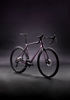 Picture of Infinito 105 12SP Velomann Palladium